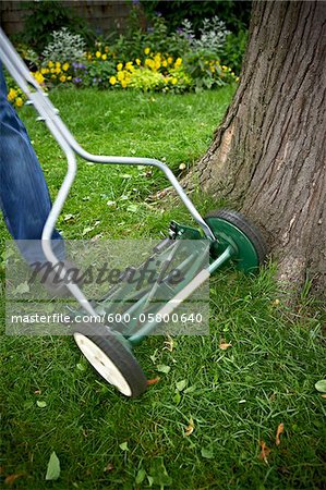 Man Cutting Grass with Push Mower, Toronto, Ontario, Canada
