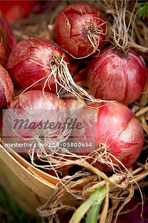 Close-up of Harvested Red Onions, Toronto, Ontario, Canada