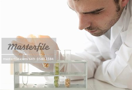 Scientist examining seeds in test tubes