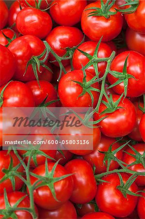 Gros plan de tomates au marché Gros plan de tomates au marché