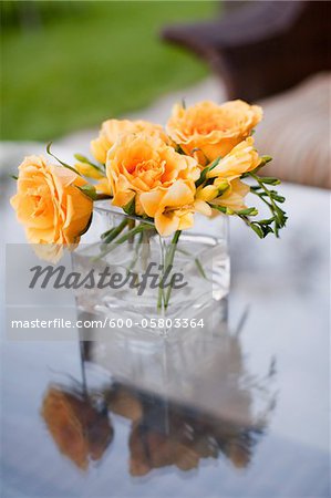 Roses in Vase, Muskoka, Ontario, Canada