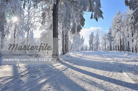 Schnee bedeckte Pfad, Rennsteig, großer Inselsberg, Brotterode, Thüringen