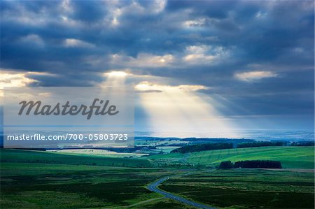 Rural paysage, collines Lammermuir, East Lothian, Ecosse Rural paysage, collines Lammermuir, East Lothian, Ecosse