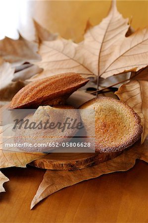 Madeleines from Ardéche