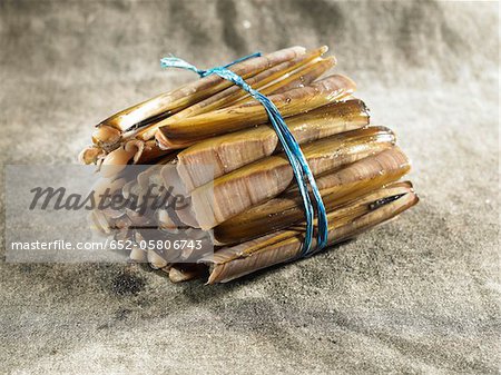 Bundle of razor clams