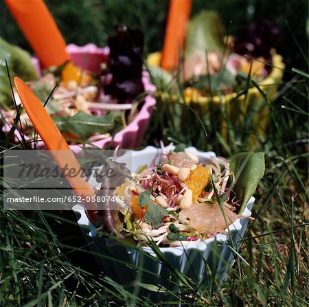 Spriessen und Zitrusfrüchte Salat