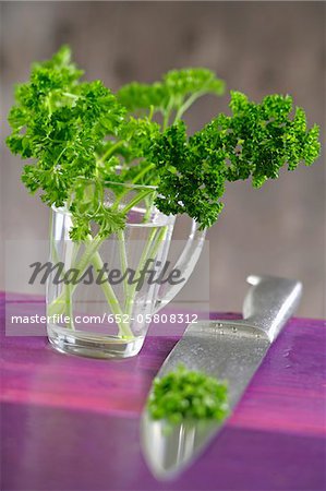 Curly parsley