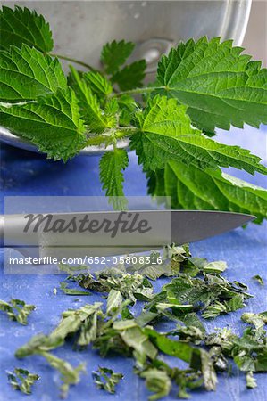 Preparing nettle soup