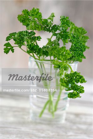 Curly parsley