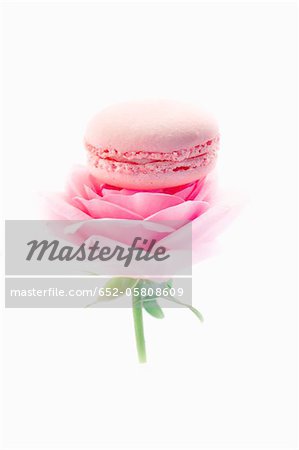 Makronen auf eine rosa Rose Rose-Geschmack