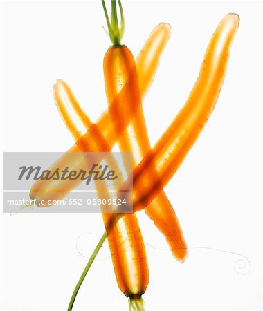 Thinly sliced whole carrots on a white background