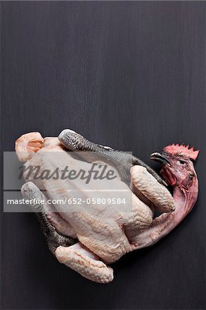 Étiquette rouge de poulet fermier oraganic de Bourgogne