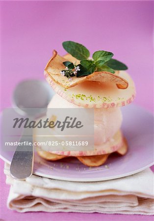 Apple and vanilla mille-feuille