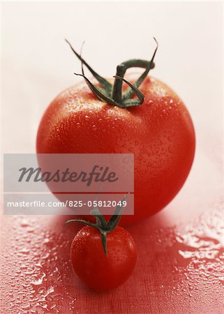 tomate Marmande