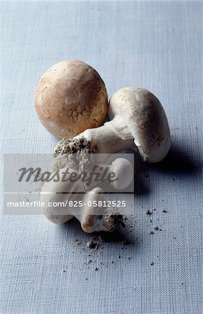 Champignons de Paris