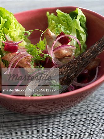 Duck Aiguillettes and red onion salad
