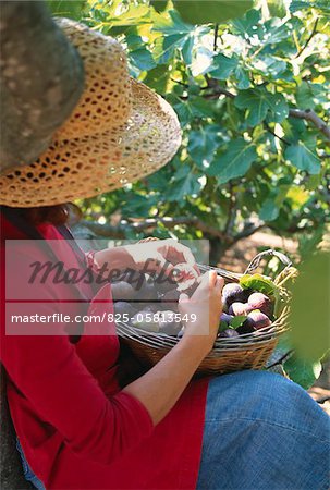 Personne avec un panier de figues