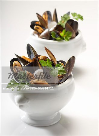 Moules à la coriandre et les oignons