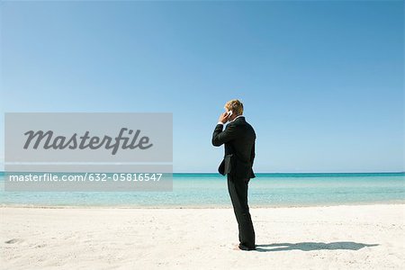 Businessman talking on cell phone while standing on beach, rear view