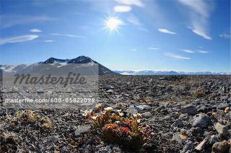 Mushamna, Woodfjorden, Spitzbergen, Svalbard, Norwegen