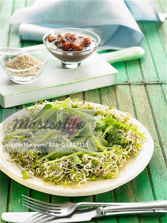 Beansprout and spinach salad
