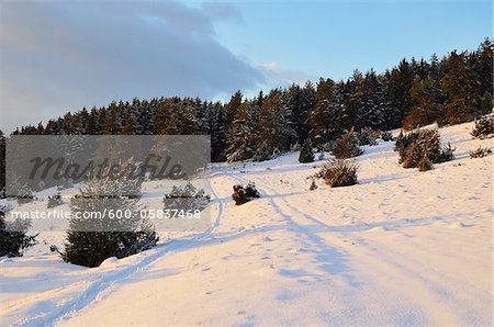 Winter Landscape near Villingen-Schwenningen, Black Forest, Baden-Wurttemberg, Germany