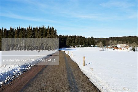 Winter Landscape, Black Forest, Baden-Wurttemberg, Germany