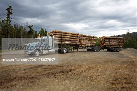 Logging Truck