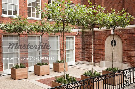 Lower level of red brick courtyard in London's Mayfair district. Iroko wood planters with table-top, deciduous trees and perennial plants set on gravel surface between york stone and red brick paving. Designed by Modular