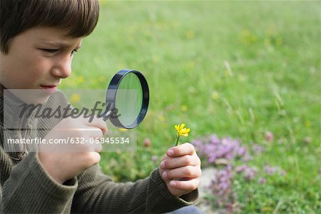 Boy looking at flower through magnifying glass