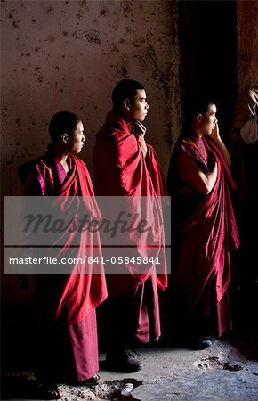 Young Buddhist monks watching dancing at the Wangdue Phodrang Tsechu, Wandgue Phodrang Dzong, Wangdue Phodrang (Wangdi), Bhutan, Asia
