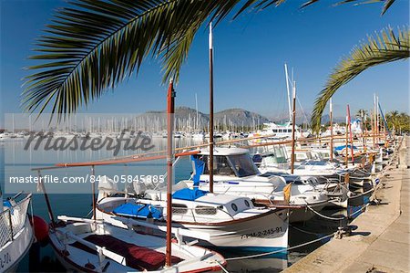 Traditional boats moored in the harbour, Port d'Alcudia, Mallorca, Balearic Islands, Spain, Mediterranean, Europe
