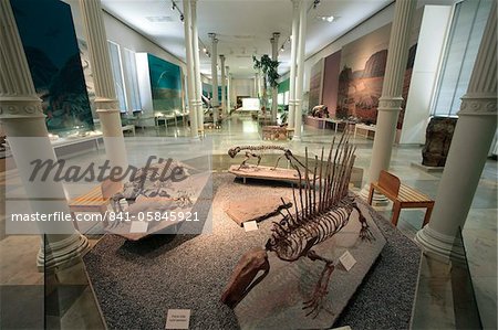 Naturwissenschaftliches Museum, Karlsruhe, Baden-Württemberg, Deutschland, Europa