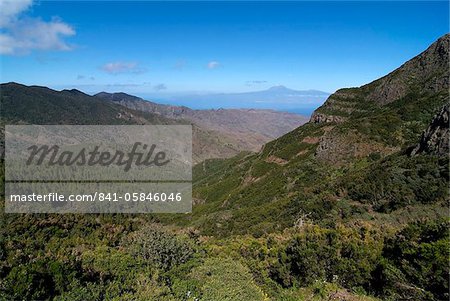 Parque Nacional de Garajonay, UNESCO World Heritage Site, Gomera, Canary Islands, Spain, Europe