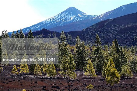 Las Canadas, Parque Nacional del Teide, UNESCO Weltkulturerbe, Teneriffa, Kanarische Inseln, Spanien, Europa