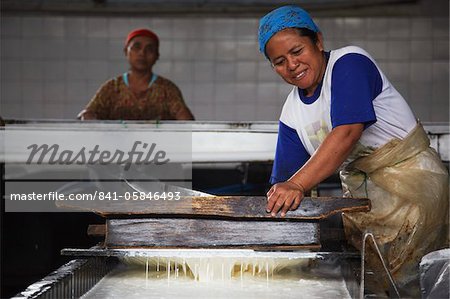 Rubber making process, Kalitakir Plantation, Kalibaru, Java, Indonesia, Southeast Asia, Asia
