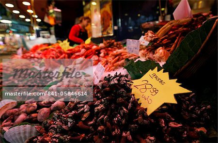 Muscheln auf den Verkauf auf einen Fisch stecken bleiben auf dem Markt in Barcelona, Katalonien, Spanien, Europa