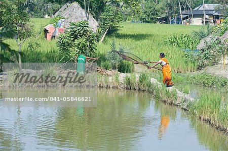 Dorf Frau Gießen Angeln net unter Reis Felder, Dorf Bali Hut Khola, Bali Insel, Sundarbans wurde, West Bengal, Indien, Asien