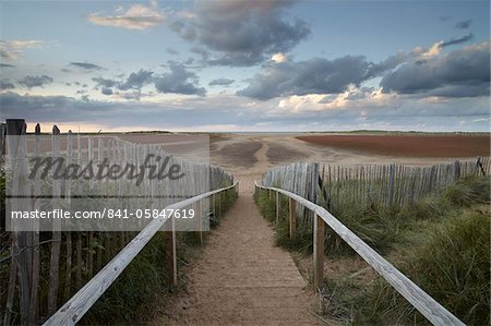 Les étapes de Holkham Gap à la baie de Holkham, Norfolk, Angleterre, Royaume-Uni, Europe Les étapes de Holkham Gap à la baie de Holkham, Norfolk, Angleterre, Royaume-Uni, Europe