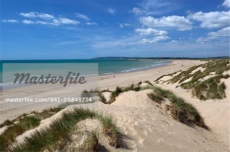 Sturz von Sand und Dünen, Sturz, East Sussex, England, Vereinigtes Königreich, Europa