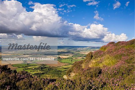 Looking towards Roseberry Topping and Cleveland from Busby Moor, North Yorkshire Moors, Yorkshire, England, United Kingdom, Europe
