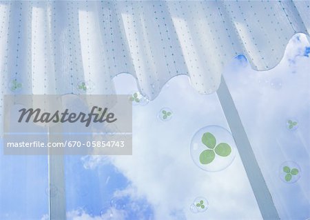 Le trèfle et les bulles à la fenêtre Le trèfle et les bulles à la fenêtre