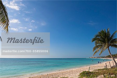 Beach at Playa del Carmen, Mayan Riviera, Quintana Roo, Mexico