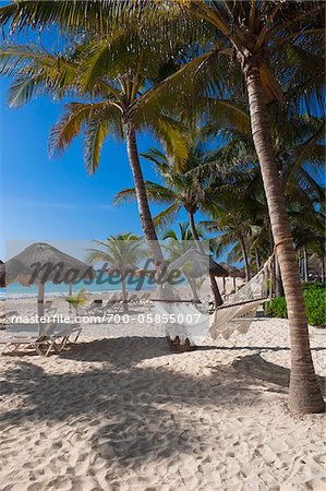 Hängematte am Strand von Playa del Carmen, Quintana Roo, Riviera Maya, Mexiko