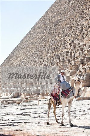 Homme à dos de chameau en face de la grande pyramide de Gizeh, le Caire, Egypte