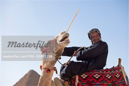 Portrait of Man on Camel, Giza, Cairo, Egypt