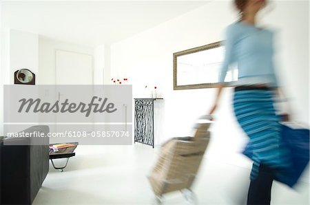 Woman with shopping trolley in a living-room