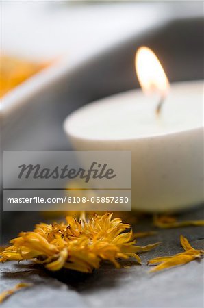 Dried flower and candle, close-up