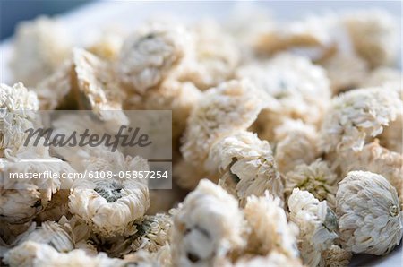 Getrocknete Kamille-Blüten (Nahaufnahme)