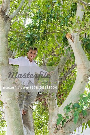 Low angle view of a boy climbing a tree